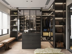 Dressing sur-mesure personnalisable portes en verre fumé